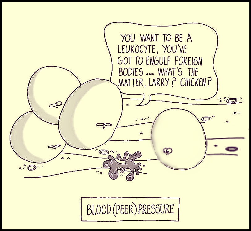 BLOOD PRESSURE FUNNY